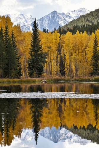 Autumn reflection on a mountain lake © Tonya Hance