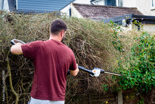 Male garden worker using hedge trimmers to cut branches from overgrown hedge over garden fence.