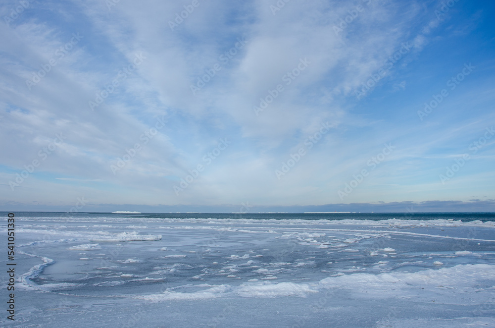 frozen seaside