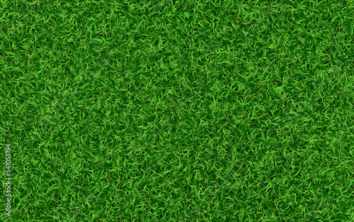 Fototapeta Grass texture