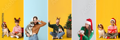 Christmas collage with people and cute animals on color background