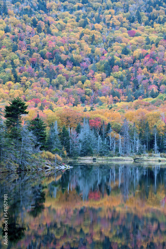 Autumn beauty in White Mountain National Forest. Reflection of hillside with colorful fall foliage on calm surface of Beaver Pond in Kinsman Notch, New Hampshire.