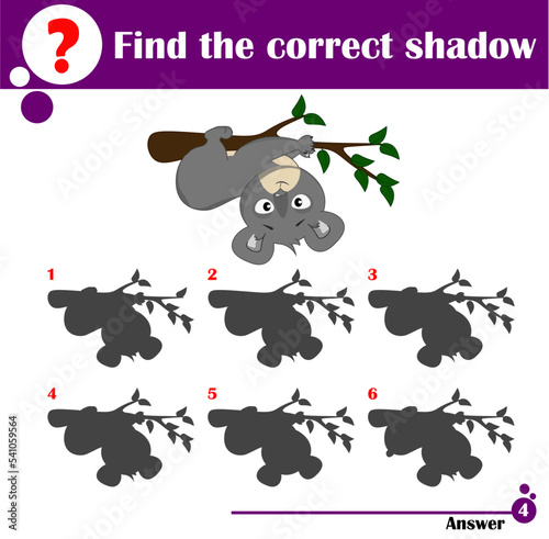 Find the correct shadow koala bear. Educational matching game for kids