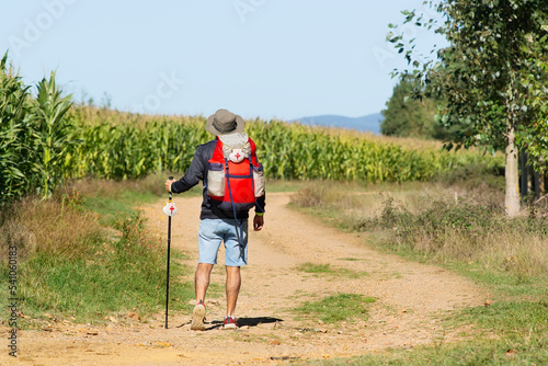 Camino de Santiago pilgrim man  to Compostela with unfocused corn plantation in background , near Astorga vlilage in  Leon , Spain photo