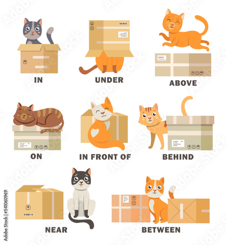 Cat in different poses with box cartoon illustration set. Visual representation of English preposition of place for children. Pet above, behind, between, beside, near box. Vocabulary, studying concept