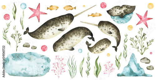 Watercolor set with retro narwhals, starfish, fish, iceberg, seaweeds and other underwater elements