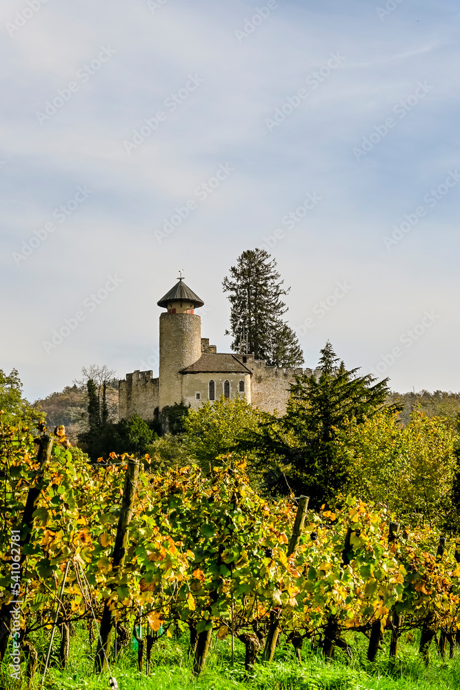 Arlesheim, Schloss Birseck, Weinberg, Burg, Weinrebe, Weinstock, Herbstfarben, Wanderweg, Herbstlaub, Herbst, Baselland, Birstal, Schweiz