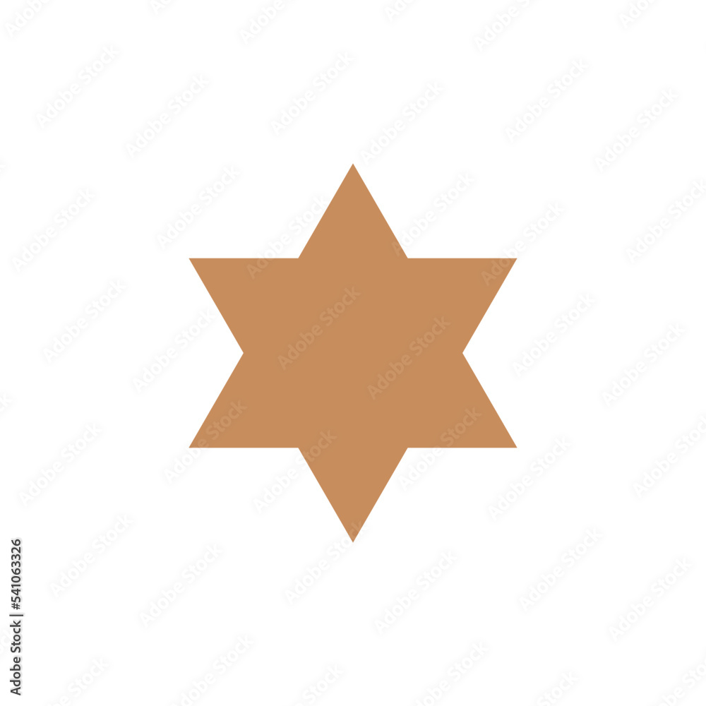 Obraz premium Decorative Star Icon Vector Logo Template