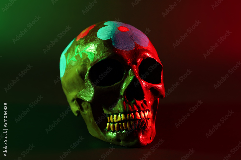 Painted skull for Mexico's Day of the Dead (El Dia de Muertos) on dark background Painted skull for Mexico's Day of the Dead (El Dia de Muertos) on dark background
