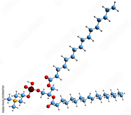  3D image of phosphatidylcholine skeletal formula - molecular chemical structure of phospholipid isolated on white background photo