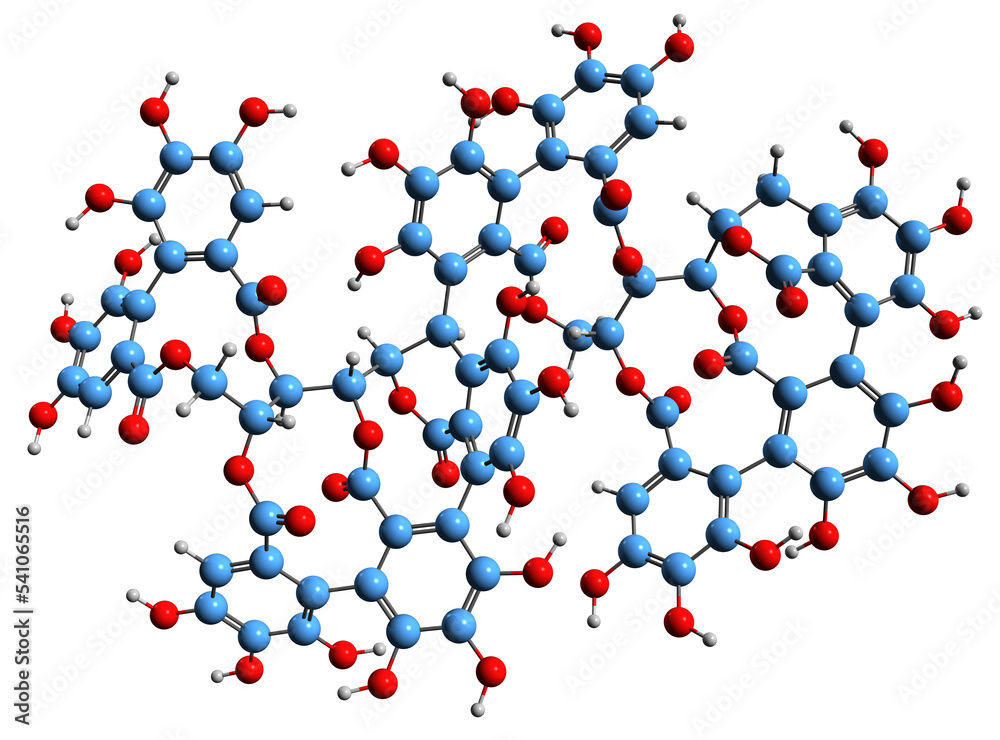 3D image of Roburin A skeletal formula - molecular chemical structure of oak wood tannin isolated on white background
3D image of Roburin A skeletal formula - molecular chemical structure of oak wood tannin isolated on white background