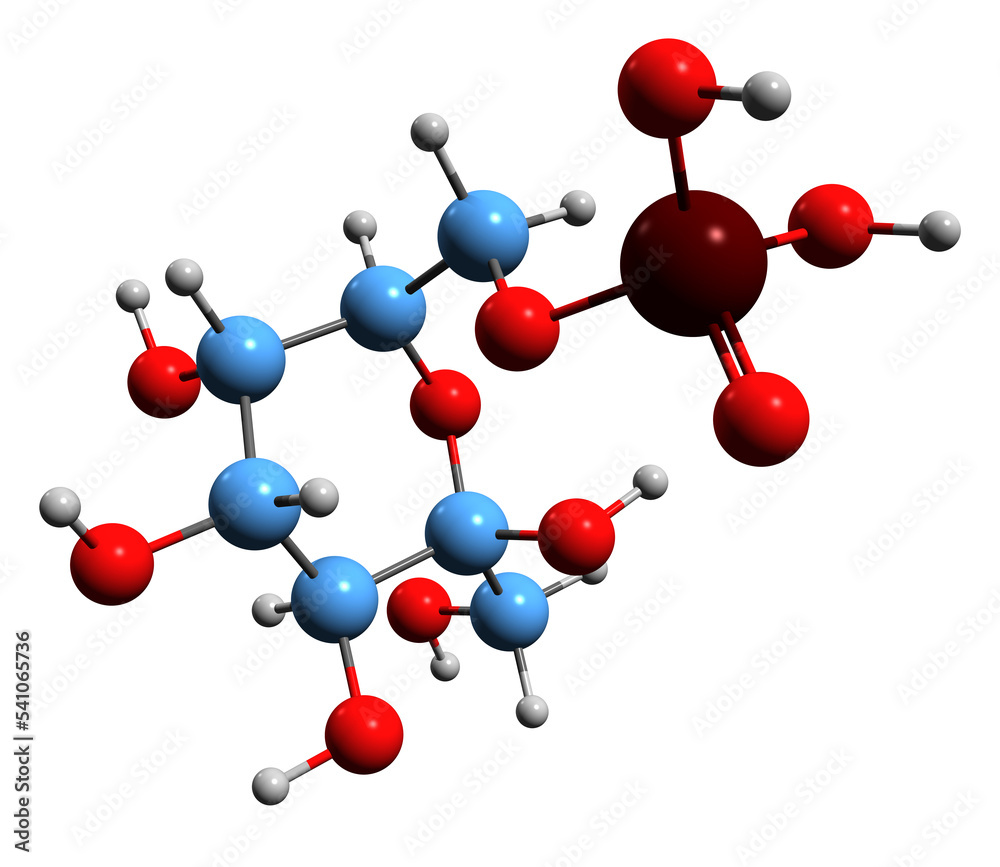 3D image of Sedoheptulose 7-phosphate skeletal formula - molecular chemical structure of pentose phosphate pathway intermediate isolated on white background
3D image of Sedoheptulose 7-phosphate skeletal formula - molecular chemical structure of pentose phosphate pathway intermediate isolated on white background