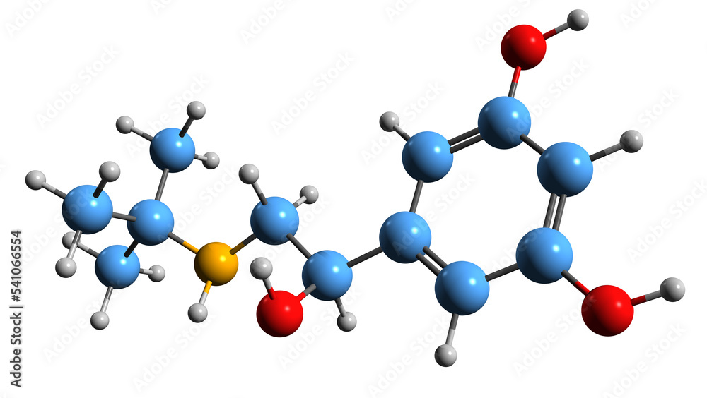 3D image of Terbutaline skeletal formula - molecular chemical structure of beta2 adrenergic receptor agonist isolated on white background 3D image of Terbutaline skeletal formula - molecular chemical structure of beta2 adrenergic receptor agonist isolated on white background