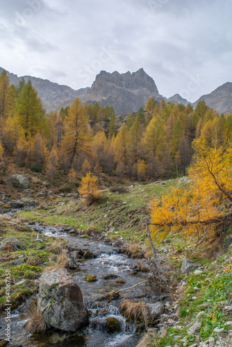 Autunno in Valle Stura  tripudio di colori  vette  laghi  cascate e flora alpina