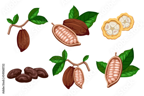 Chocolate cocoa beans cartoon illustration set. Cacao beans with leaves on tree, sliced into halves and chocolate isolated on white background. Plantation, farm, food concept
