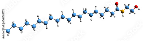 3D image of Anandamide skeletal formula - molecular chemical structure of N-arachidonoylethanolamine isolated on white background
 photo