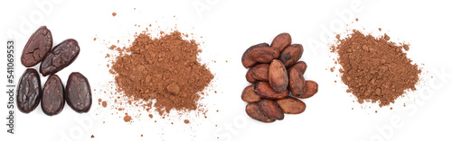 cocoa bean and cocoa powder isolated on white background top view