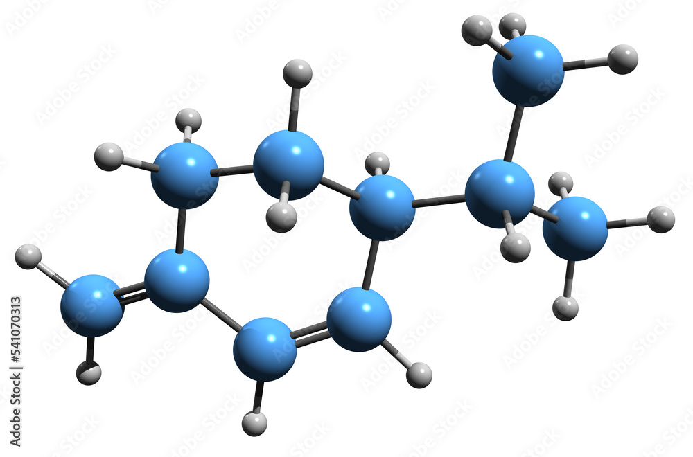 3D image of Phellandrene skeletal formula - molecular chemical structure of cyclic monoterpene isolated on white background 3D image of Phellandrene skeletal formula - molecular chemical structure of cyclic monoterpene isolated on white background
