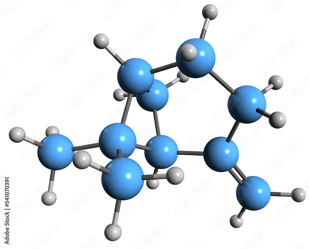 3D image of beta-Pinene skeletal formula - molecular chemical structure of monoterpene Nopinene isolated on white background
3D image of beta-Pinene skeletal formula - molecular chemical structure of monoterpene Nopinene isolated on white background