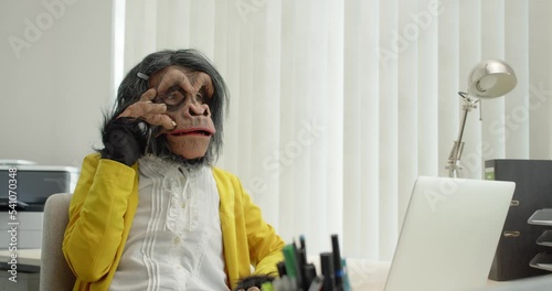 Monkey Business Woman in Office talking on phone