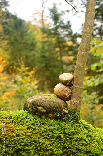 Autumn forest in the Zurich Oberland. Art in beautiful nature. stone tower on a tree. High quality photo