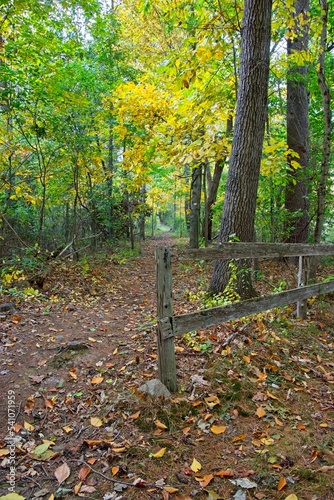 Hiking trail tunnels through early autumn colored woodlands beyond post and rail fencing