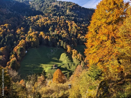 hiking in the beautiful Weisstannen valley in the canton of St. Gallen. Fall colors in the woods. Alp hut with a view of the mountains. High quality photo photo