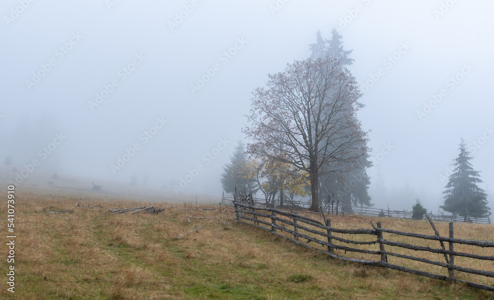 landscape with fence