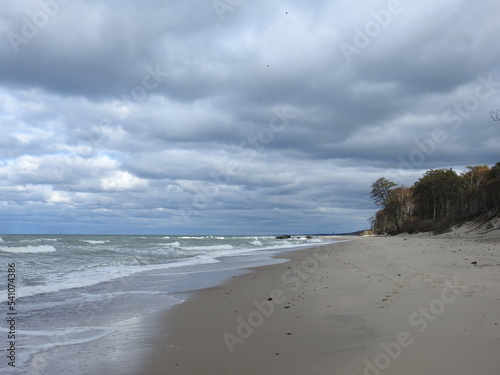 Fotografi landscape of the Curonian Spit