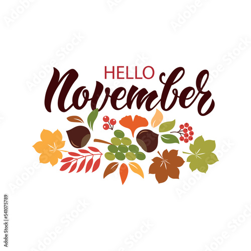 Hello november handwritten phrase. Hand lettering and colorful illustration of chestnuts, leaves, berries as card, poster, emblem, banner. Seasonal greetings. Autumn mood. Vector brush calligraphy