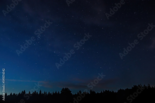 Night starry sky over forest. Tree silhouettes against backdrop of stars.