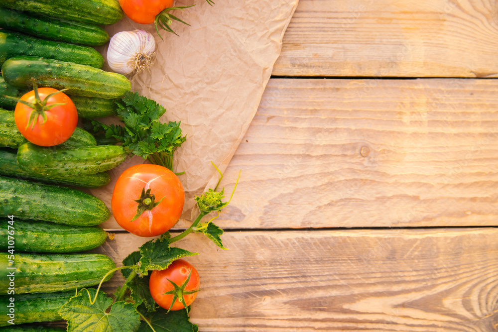 Fresh vegetables on a wooden background. Empty space for the text. Cucumbers, tomatoes, garlic, dill. Top view. Fresh vegetables on a wooden background. Empty space for the text. Cucumbers, tomatoes, garlic, dill. Top view.