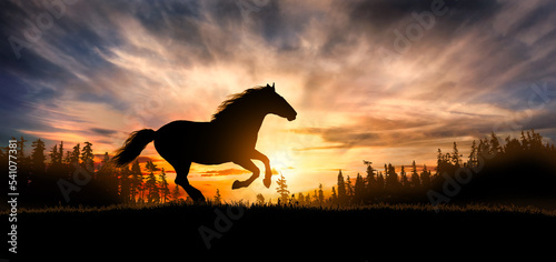 Fototapeta Naklejka Na Ścianę i Meble -  Free horse run at sunset
