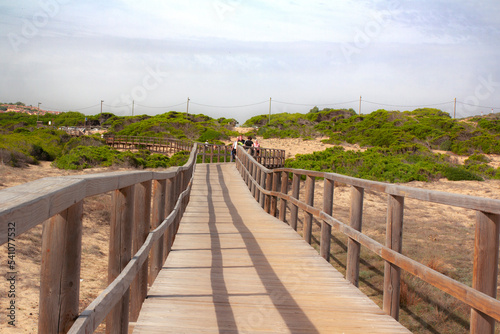Wooden bridge among the greenery, stretching into the distance. view in the center. Arenales del sol