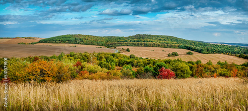 panoram through the dry grass, beautiful hills with trees ,the road among ara...