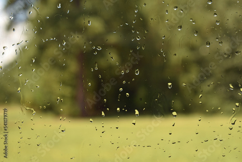 Water Droplets on a Window Sky and Trees