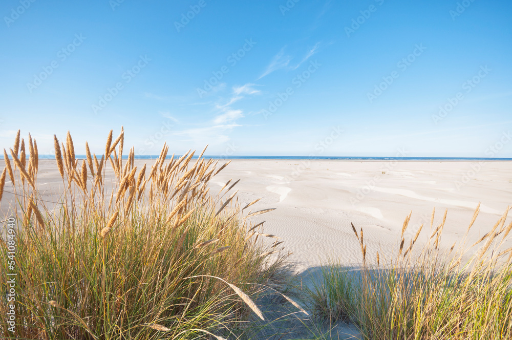 Schiermonnikoog ,The Netherlands.Empty dunes ,beach and sea on a sunny late afternoon Schiermonnikoog ,The Netherlands.Empty dunes ,beach and sea on a sunny late afternoon