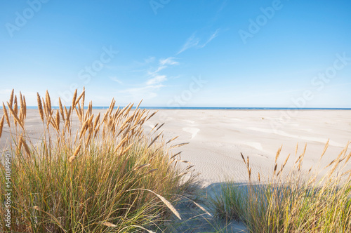 Schiermonnikoog ,The Netherlands.Empty dunes ,beach and sea on a sunny late afternoon