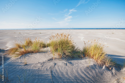 Schiermonnikoog ,The Netherlands.Empty dunes ,beach and sea on a sunny late afternoon photo