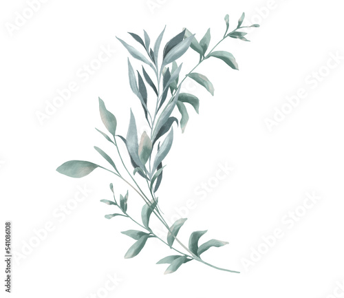 Floral arrangement of greenery  simple floral clipart  isolated illustration