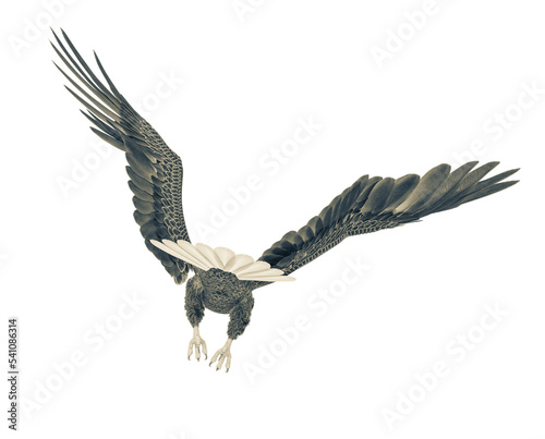 american bald eagle is flying out in white background rear view