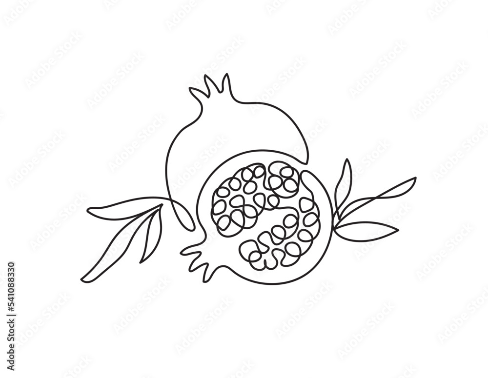 Pomegranate. Modern single line art drawing. Happy Shana tova