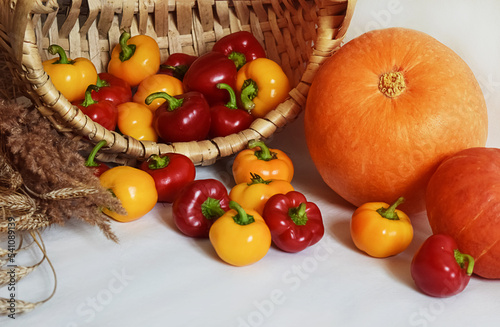 Autumn harvest pumpkin and pepper along with a wicker basket on a light background. Autumn design, harvest concept.
