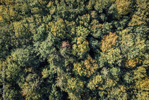 Baumkronen Landschaften aus der Luft © ohenze