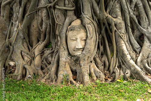 Ayutthaya © Greta