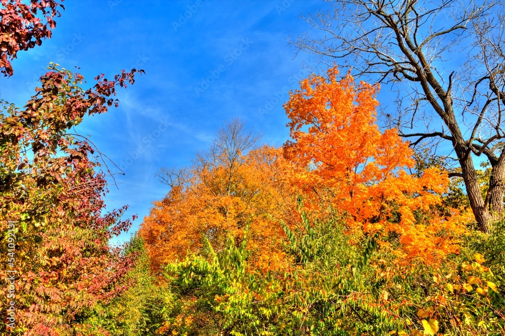 Autumn, Quarry Trails Metro Park, Columbus, Ohio