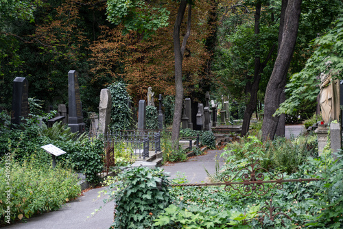 Lápidas en cementerio de Olšany, Praga