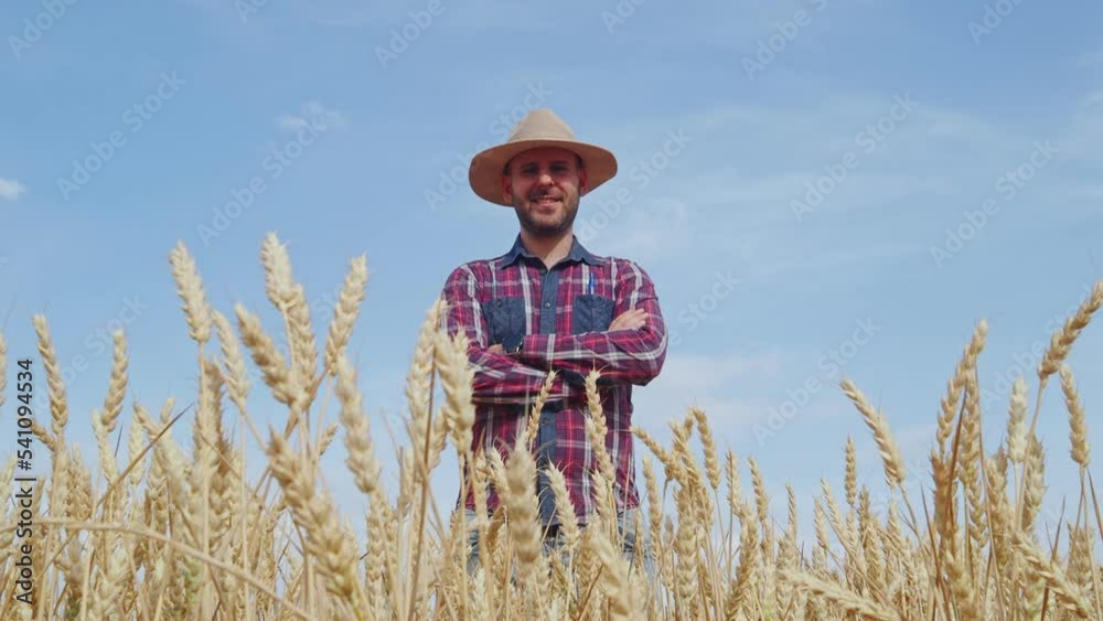 Young smiling farmer man looking at camera in a wheat field. Ecological agriculture Young smiling farmer man looking at camera in a wheat field. Ecological agriculture