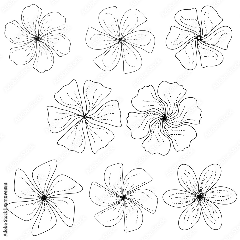 Obraz premium Flowers Lineart