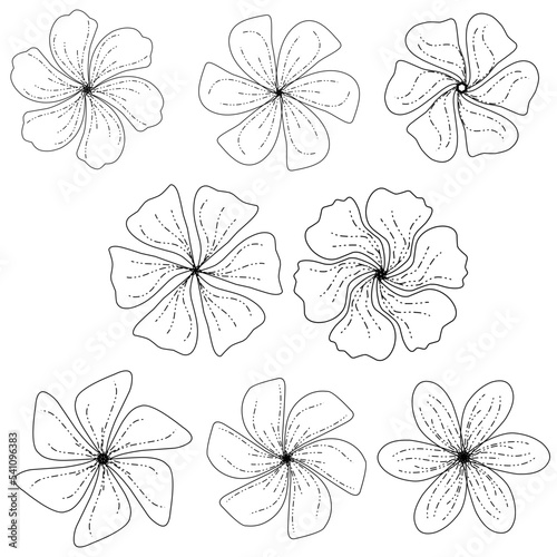 Flowers Lineart